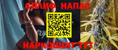 крисы Краснодар