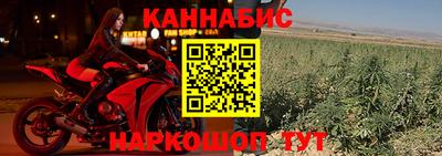 крисы Краснодар