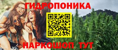 крисы Краснодар
