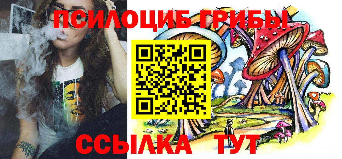 Ишим  Псилоцибиновые грибы GOLDEN TEACHER  Псилоцибиновые грибы ЛСД  Вход с VPN 